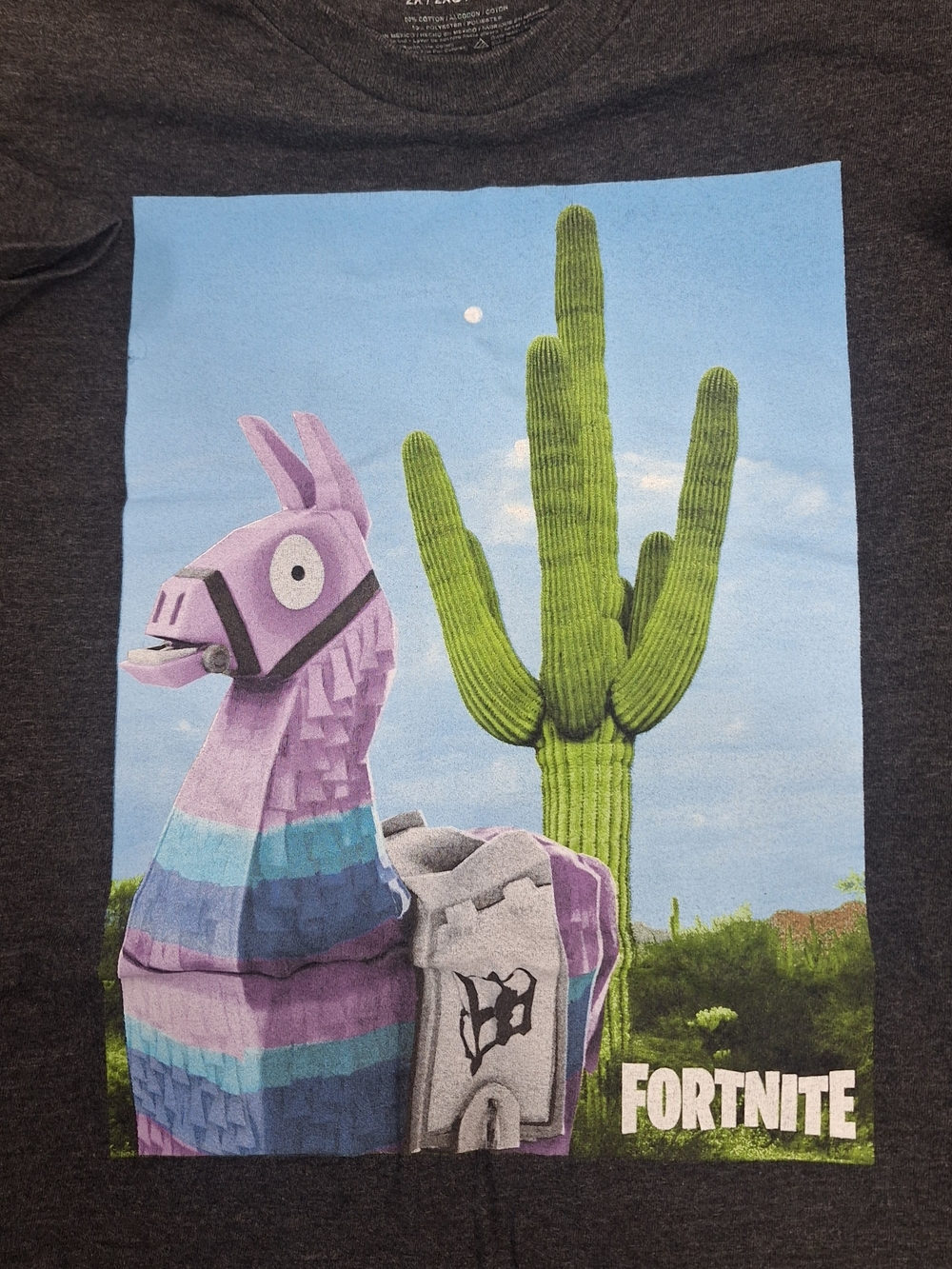 Fortnite Men's Short Sleeve Graphic Tee - Dark Gray with Llama Print